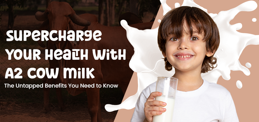 Supercharge Your Health: Top 3 Ways A2 Cow Milk Benefits Your Wellbeing