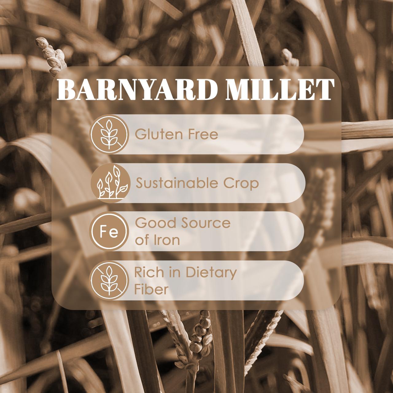 Organic Barnyard Millet