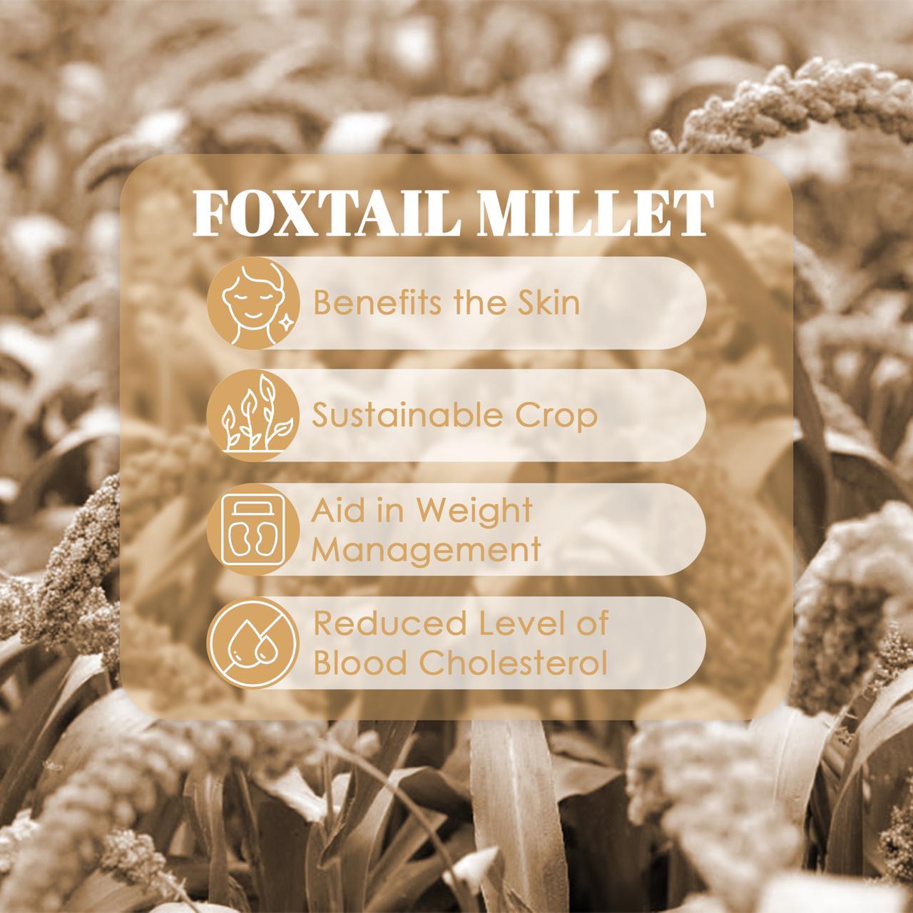 Organic Foxtail Millet