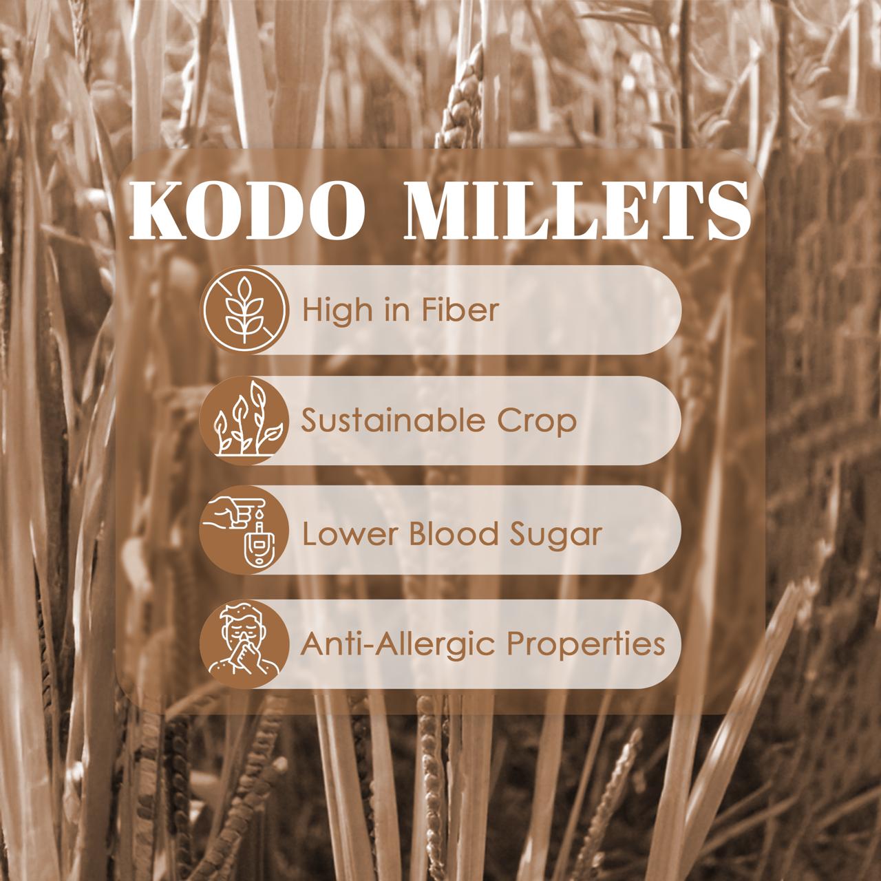 Organic Kodo Millet
