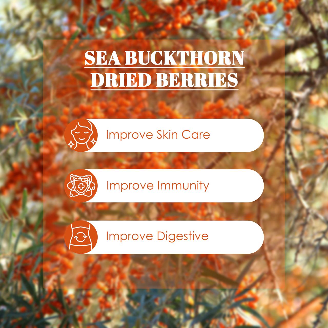 Sea Buckthorn Berry (Dried)